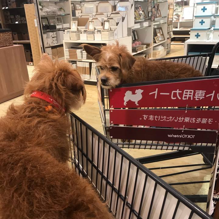 8153d5b0 8ab5 44b0 ae07 635287eda246 1600173158572