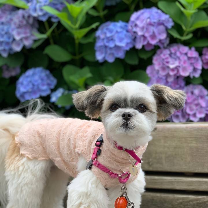 8153e9e0 2a12 4f5e 89fc 23a107844199 1591657005481