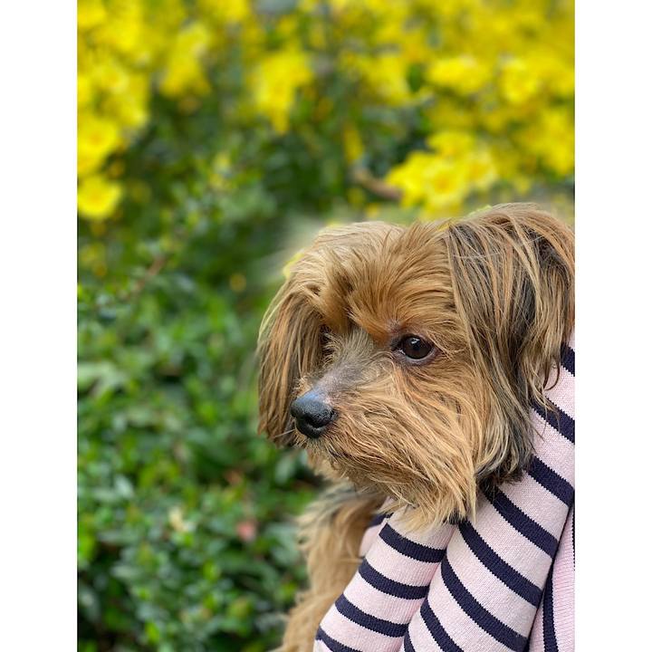 81546ed2 ec3d 459e 9713 848ccf88bea4 1553556649793