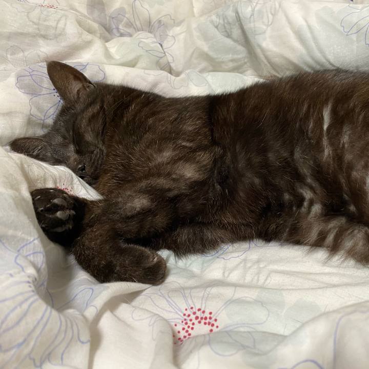 81546ee0 4107 4e11 af4b 5cbe6f5d099a 1651828430499