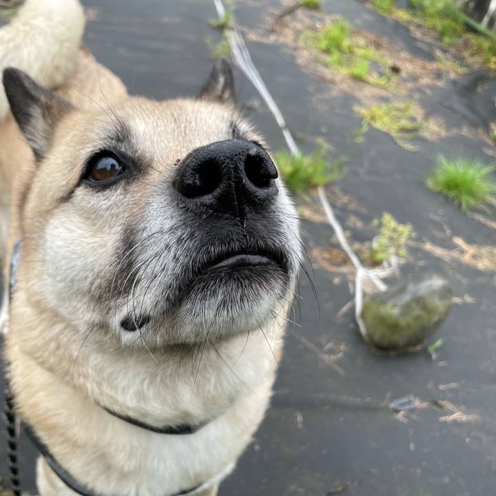 8154b11e b953 452a b032 a9f39d3a39fe 1714482499334