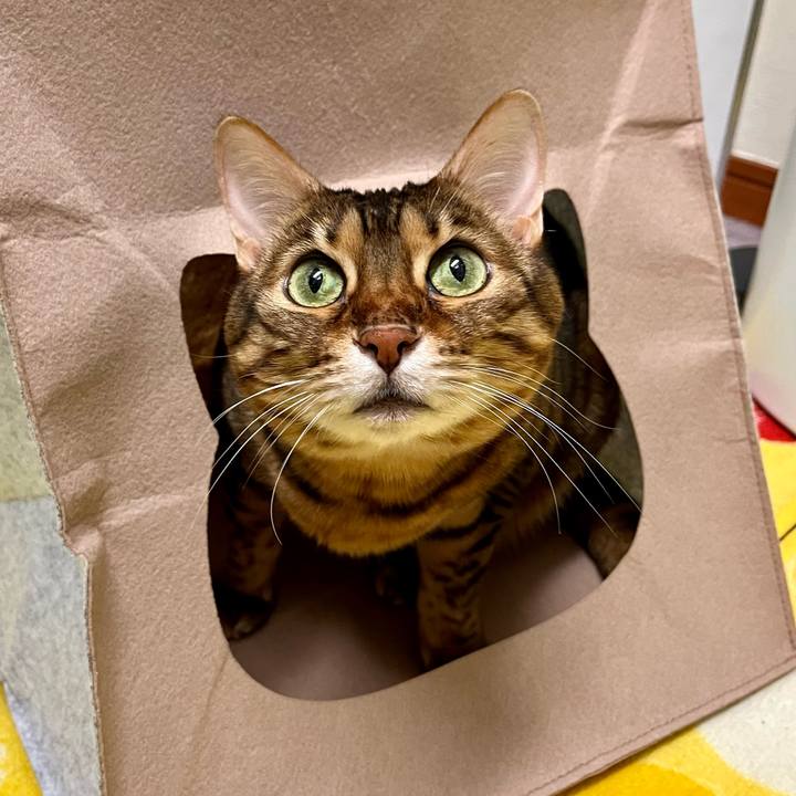 815514f5 c114 498d afcc e1006e1ccf5b 1675835632153