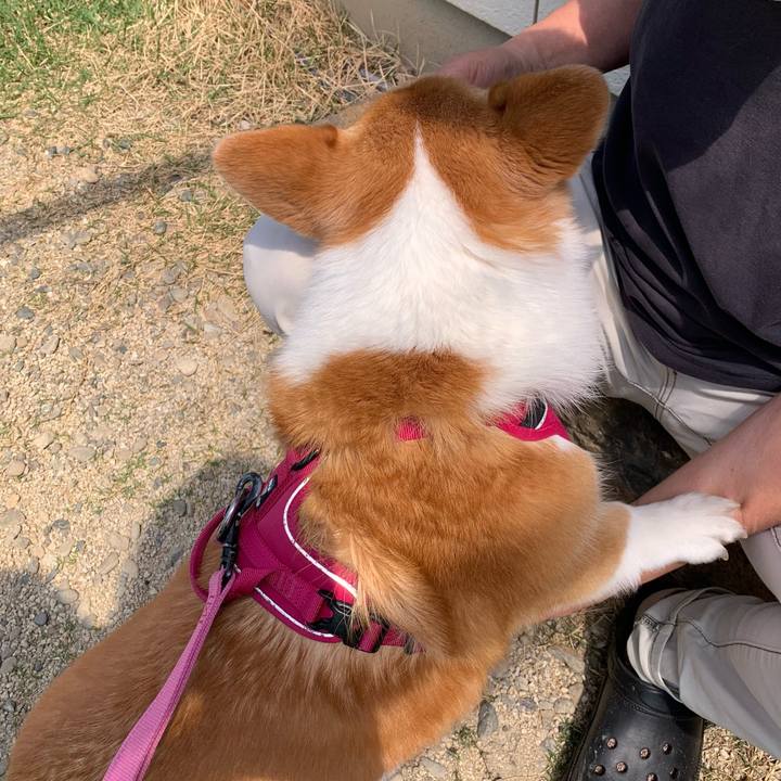 81556015 7aef 4428 bf04 ab75468a0177 1682128528942