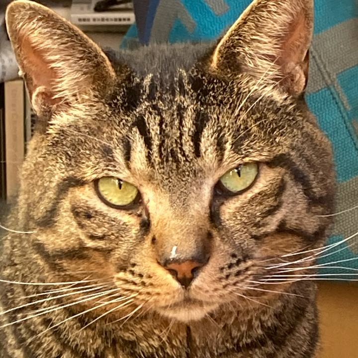 81559c26 1085 4eda 97c0 86e4ee4caab4 1714692626821