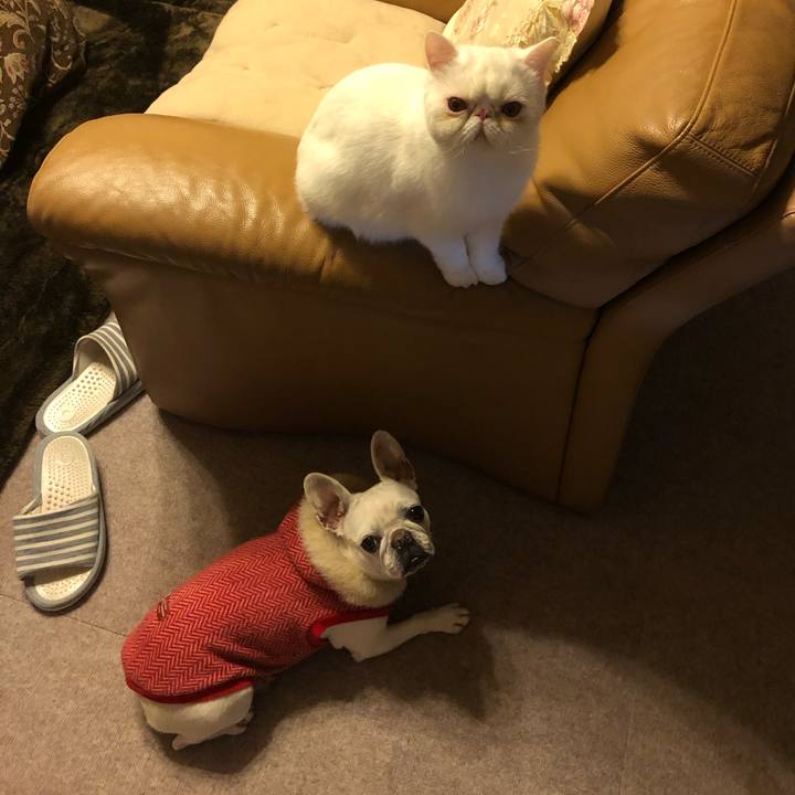 81559fdf 7a1c 475f 910b 3e4fe386356c 1578195601576