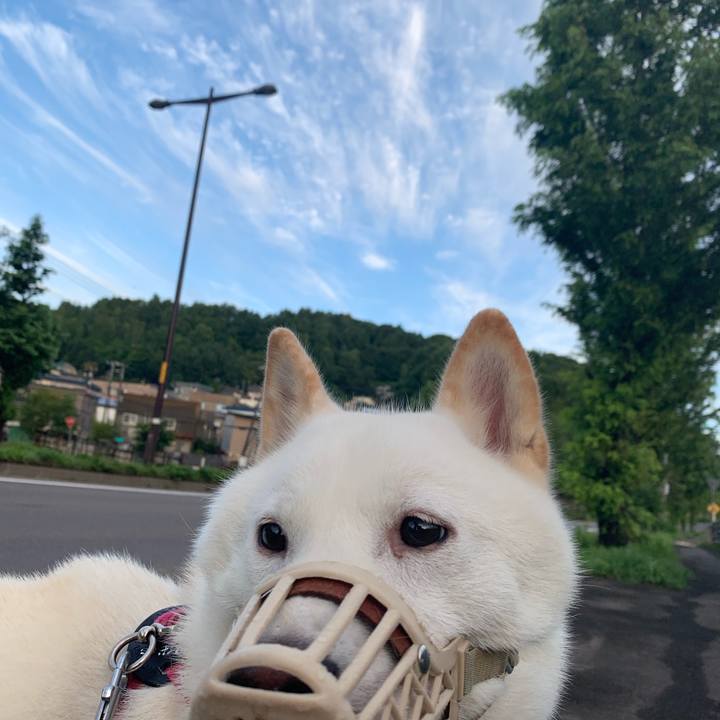 8155a4f4 9a3d 4ae9 bfd0 bc5c1303796e 1566336280356