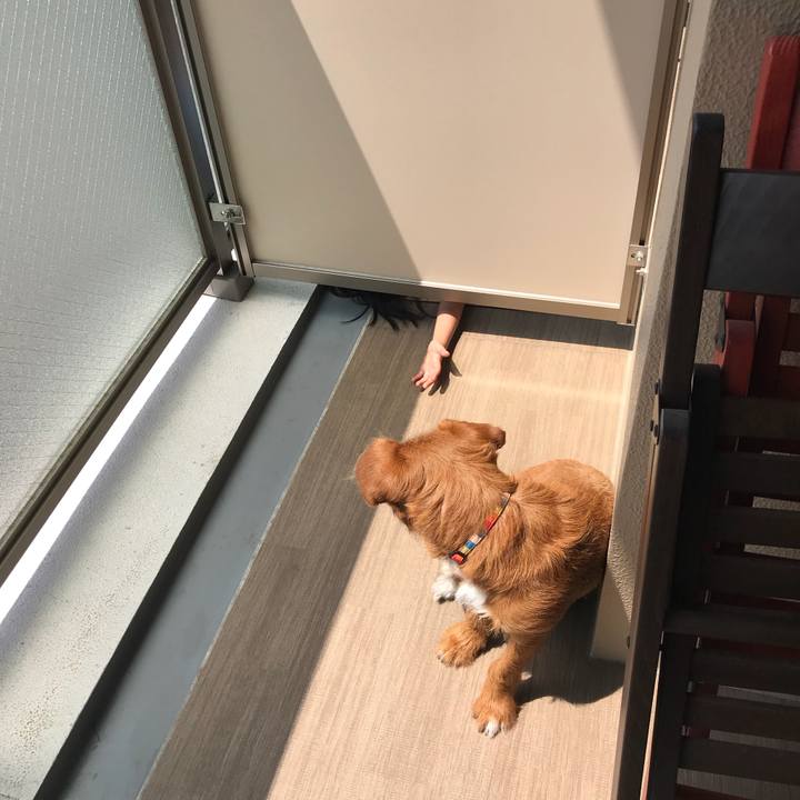 8155a608 5b4e 403e 80e8 e16d6a51bb16 1527384864812