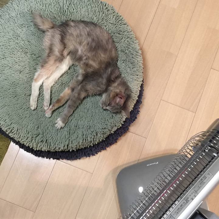 8155b700 61ef 4643 9255 42875fb23b30 1511611497441