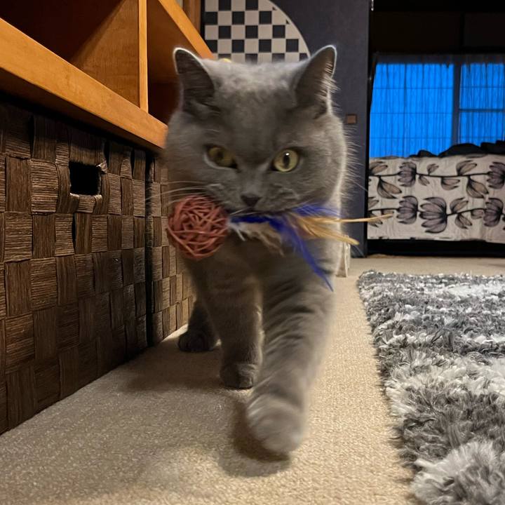 8155bf49 bdce 436d bff8 9d12596e78e6 1676168093881