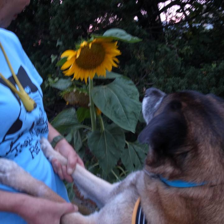 8155e401 4c2a 4cbc bad0 a723e270ce1a 1582324882757