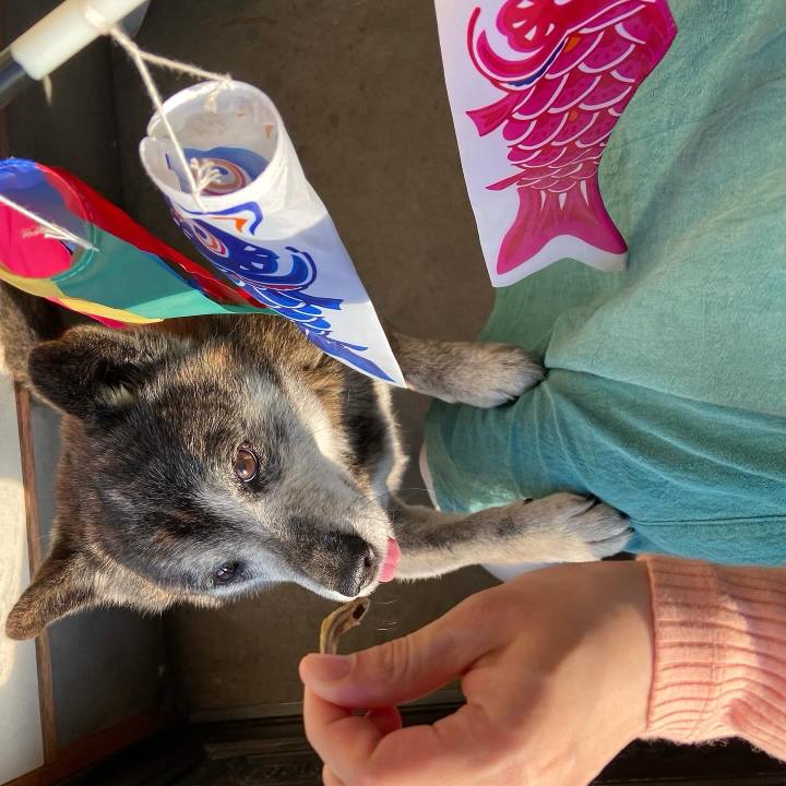 81561fb6 8d4d 48ab 89c6 0789ec89a879 1714900622583