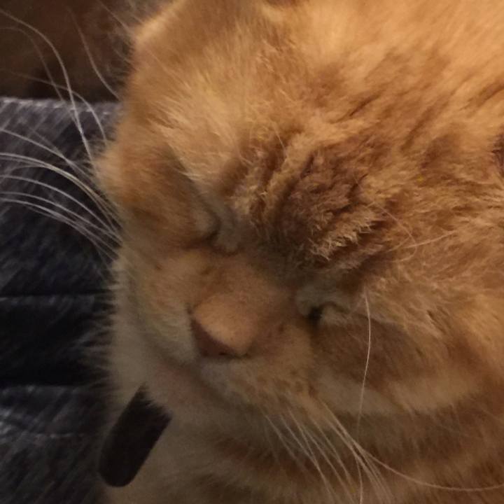 81563c5f ca7f 4ecf 9a2d 9bb165c6f975 1548534396102