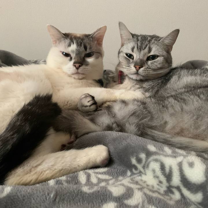 8156a33c cedd 4b79 8811 0d5b196e51d7 1587875692975