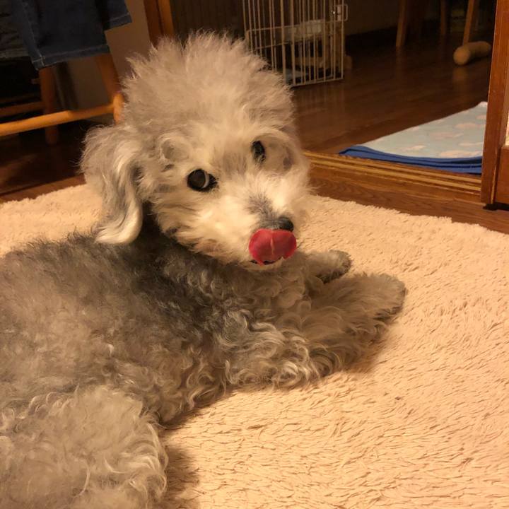 8156b747 cd0c 45e2 a5fa c52156642176 1582890704066