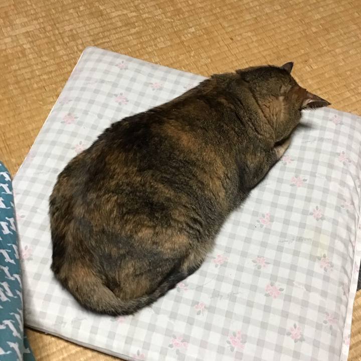 8156ca47 ed78 4afe 9fe4 12c8b1576f23 1758714738647