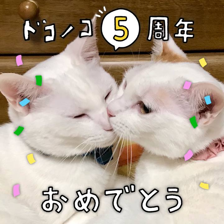8156d029 be51 4d32 b164 36b16fb678c7 1622938786656
