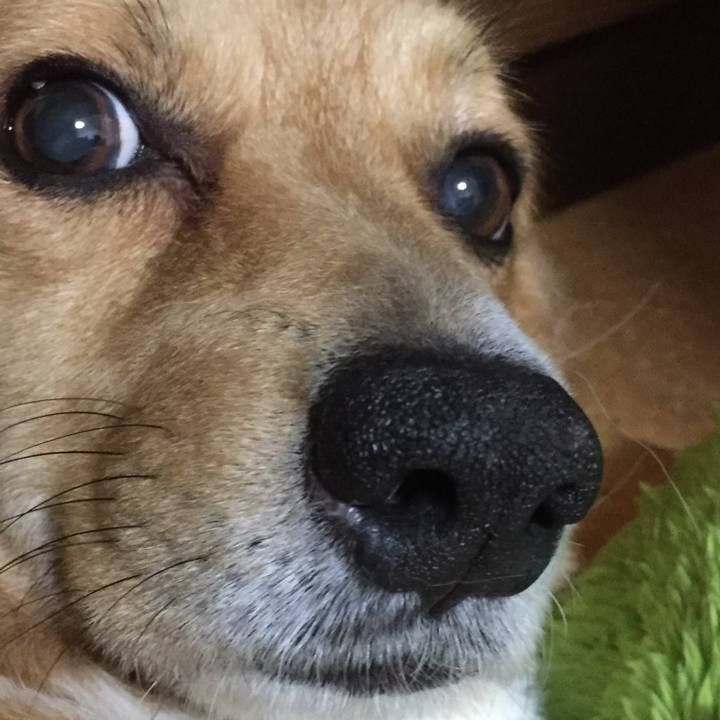 8156e020 8d70 48eb a9a5 6eadaec74d4d 1523931413115