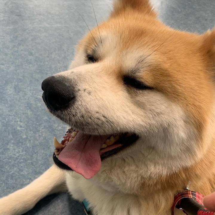 815731df bd6f 4963 88fb 86f7f34cfa67 1713705310213