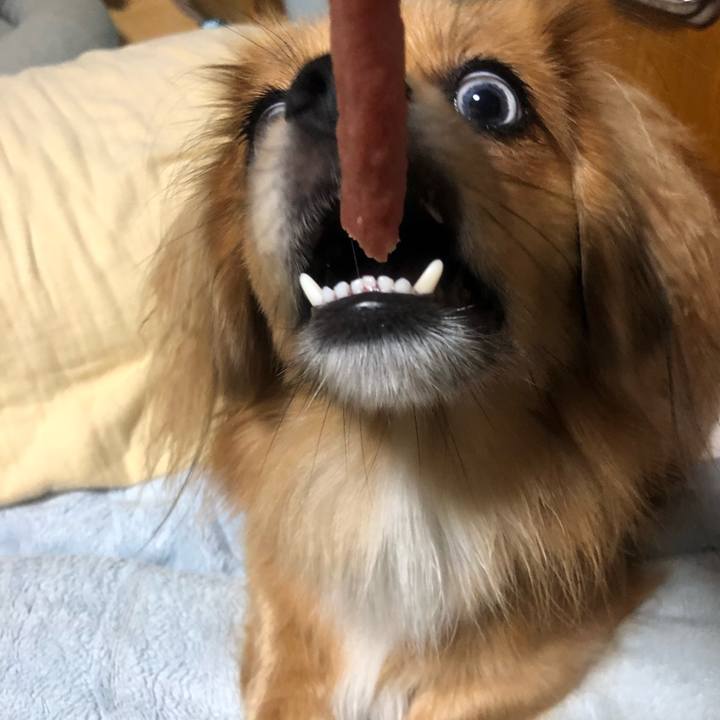 81573938 f410 45dc ad56 567b1a0d29ed 1537048636329