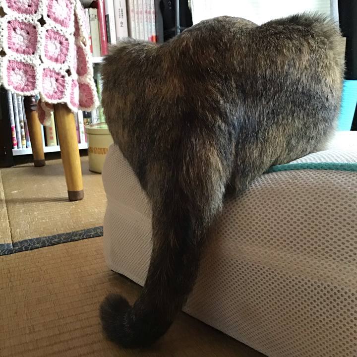 815785af bb41 4004 905c 739691b42959 1596680843645