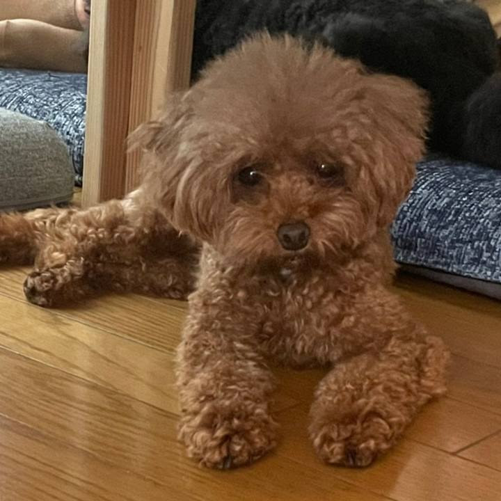 81578d23 a655 4972 977f 1a111d018eb5 1627640144921