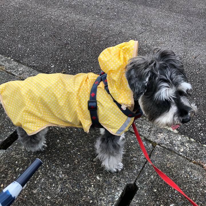 8157d50c 70e4 4bb3 b240 04297989fdc5 1628457954993