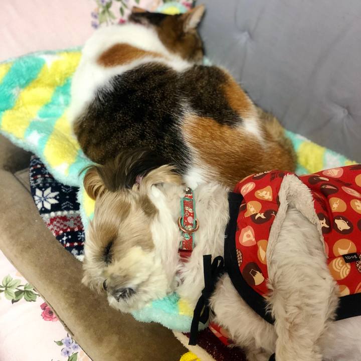 8157eb8a f68f 4884 b07d c179f1ebb897 1577889257613