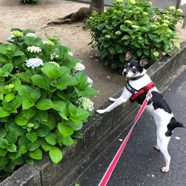 81580648 6967 4223 a44f 9cf9ee47f2b2 1558393212755