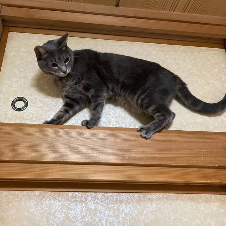 81581539 c763 4e0b 8166 813014ef2744 1630499783984