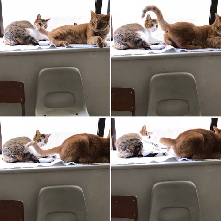 81582aad 489d 4e35 89b3 c7f417848742 1558933884763