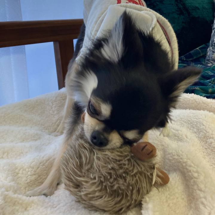 81584a09 06fe 48b6 9f7f 9743756e270f 1646544215631