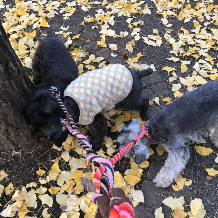 815887d6 34e6 4422 9a12 679776b31e8f 1511084239733