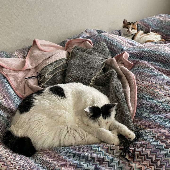 8158b4ff 04bd 4227 a25b d55e037b5e52 1673912309944