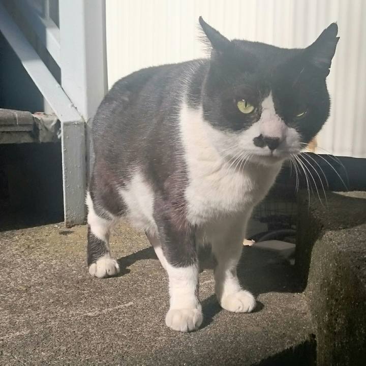 8158c3f5 307e 4b22 b4d8 0382aa3f638b 1515899449341