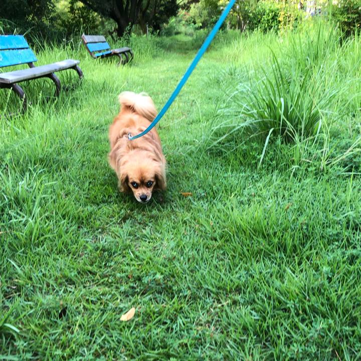 8158e14f 87aa 4762 bb35 aa0d596bacb0 1564787167201