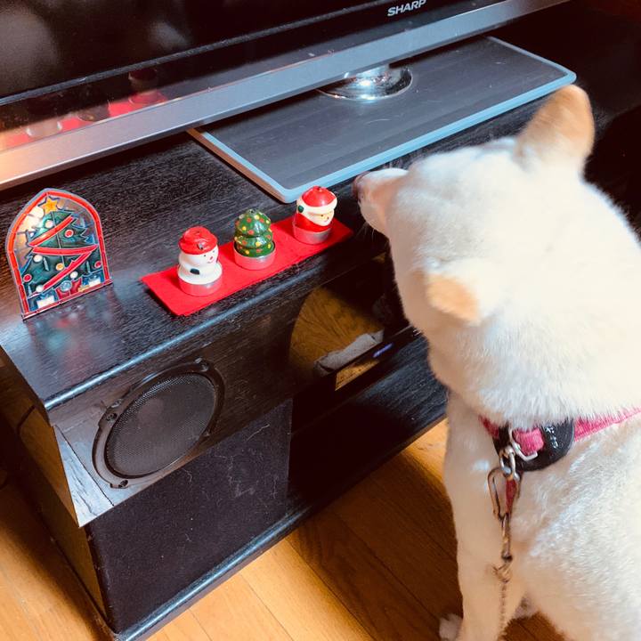 815908e2 c565 4454 a78d 8f98876497e1 1576290334272