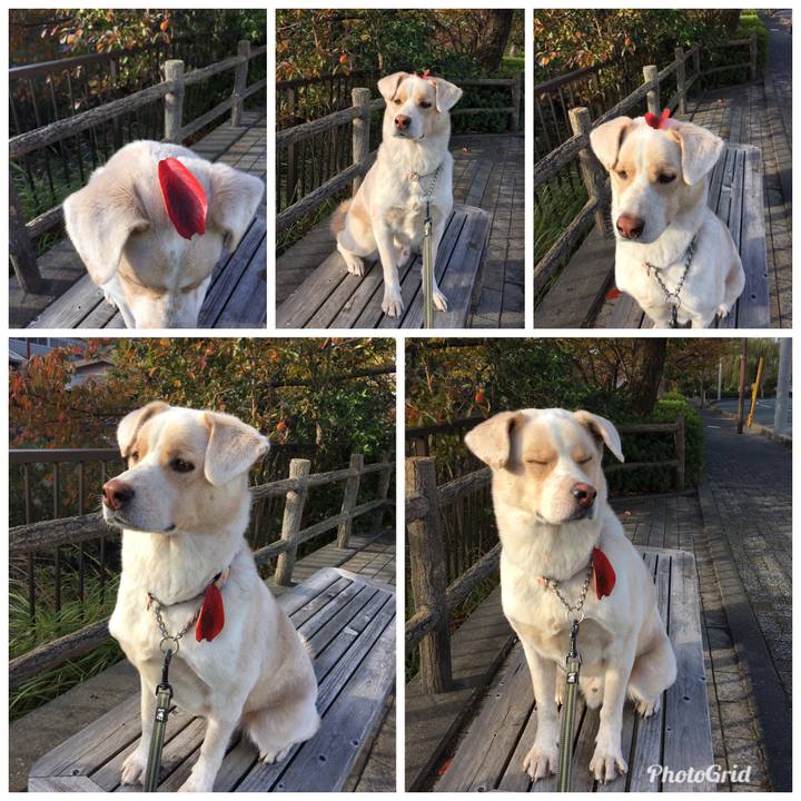 8159226a 7141 4731 bab9 e156bd5c35c9 1514202891694