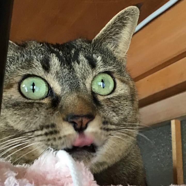 8159317a 5977 45f2 88f3 36d7c02f48e2 1708939582739