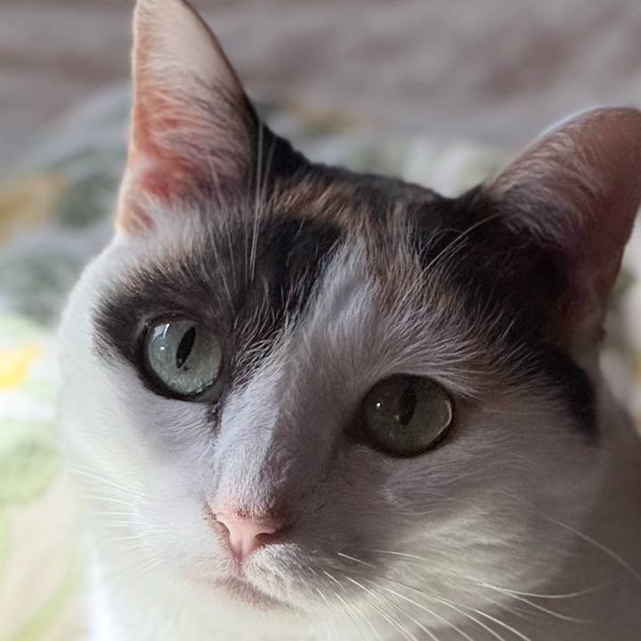 815961ea cece 45f3 bc07 d03dc3445944 1755312370949