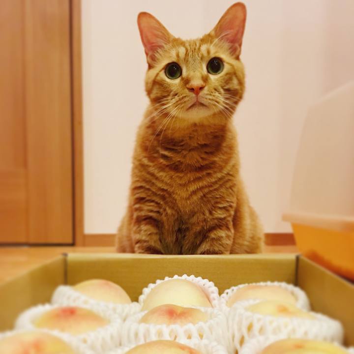 81596e6c 6dbb 4ed9 b561 c9f97f18f72e 1565095200480