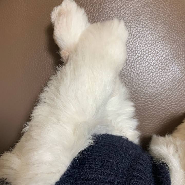 8159a509 e26f 453f 9812 bc155758a49e 1711511058690