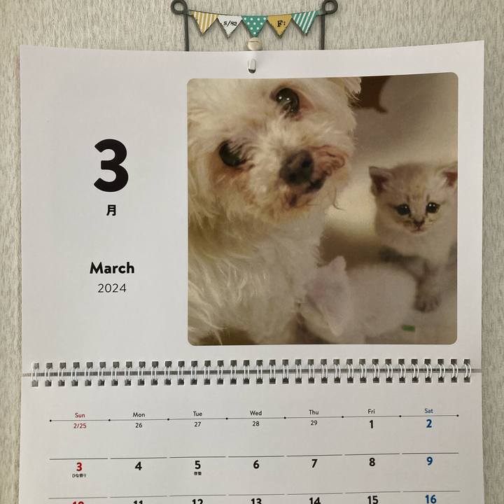 8159a796 f364 4abc af4f 7fa019e7d6c1 1710557664508