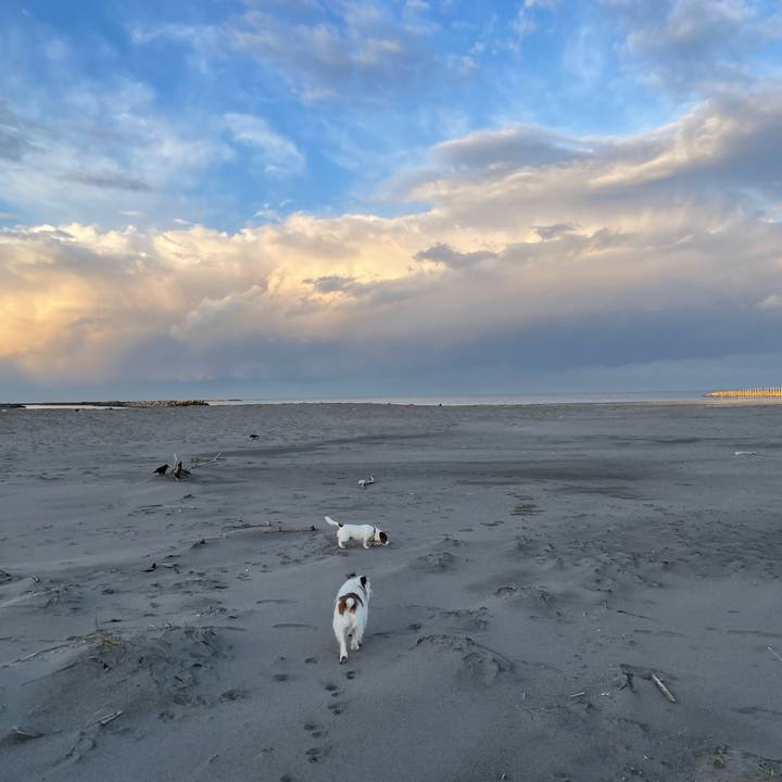 8159ad18 6d6f 461d b1c8 e891ddfb8e09 1701904444267