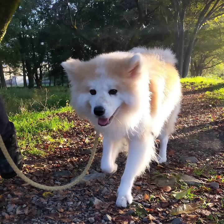 8159bbec b7c8 4421 a6b3 e0e83a0c92fd 1635430260752