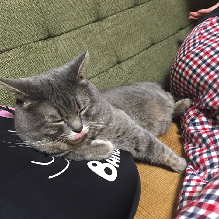 8159f1bd 65b3 4fd8 abbd 21da5c69a051 1552434174473