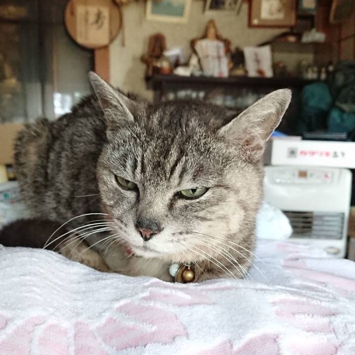 815a131d f2dd 4cc4 9be0 b13c4b5a2759 1591307859979