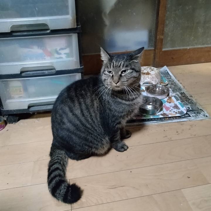 815a3058 7eac 47b8 8f85 384ded8b391f 1668077149882