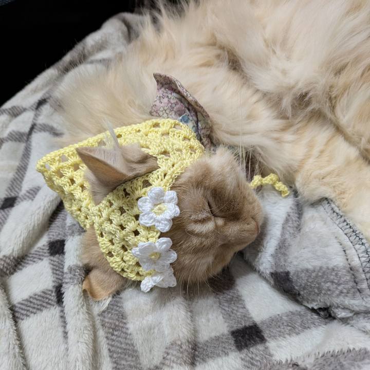 815a44e0 9131 46de a564 9e8b14443ba1 1772983268283