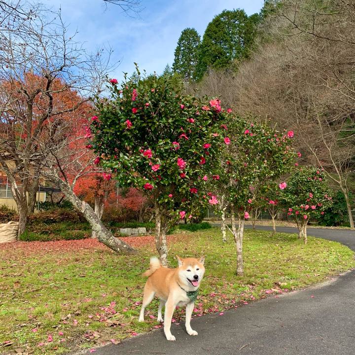 815a60a9 be51 46ee a266 c2a89fb4c2d3 1670144228791