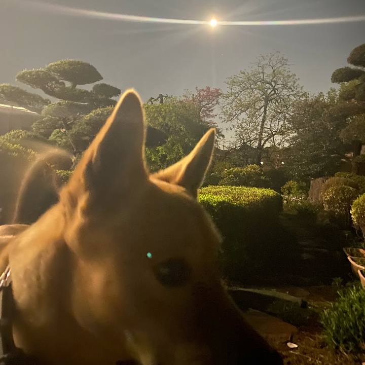 815a6c7e 675b 4523 a162 cd9164881326 1680780232212